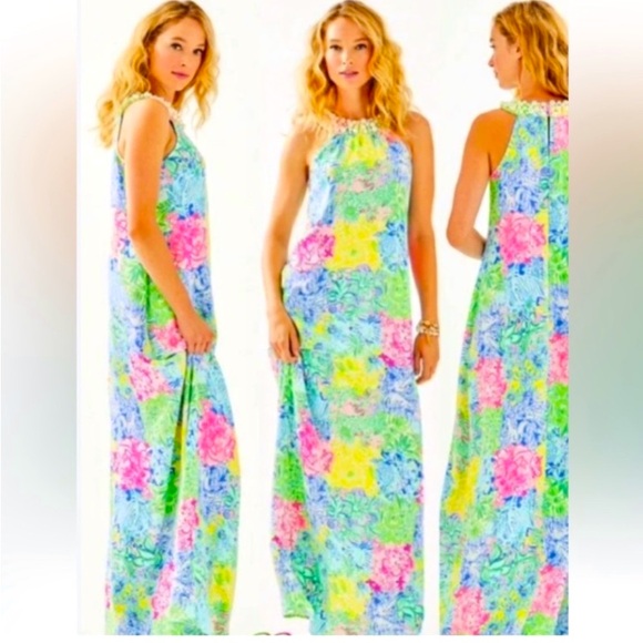 Lilly Pulitzer Shawn Maxi Dress Cheek to Cheek Size large NWOT - Picture 2 of 16